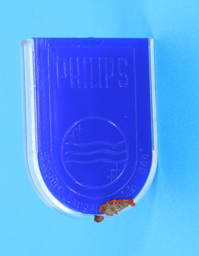 Nadeldose philips - nadeldose, "philips"
